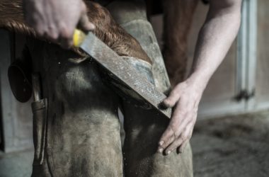 Řemeslo už dávno nemá zlaté dno. Zaměstnavatelé neplatí zrovna dobře